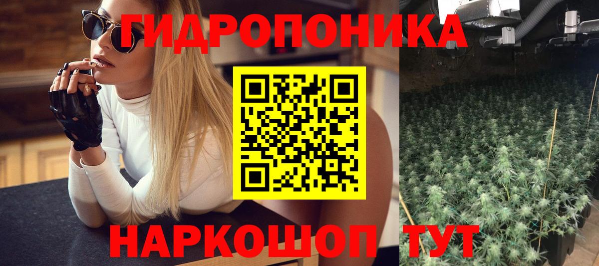 Шишки марихуана семена Соликамск